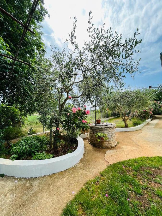 Pomerino Apartmans Εξωτερικό φωτογραφία